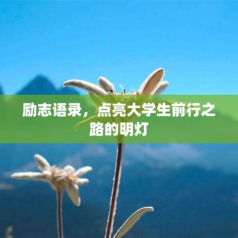 励志语录，点亮大学生前行之路的明灯