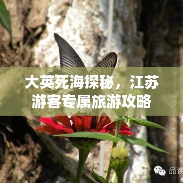 大英死海探秘，江苏游客专属旅游攻略