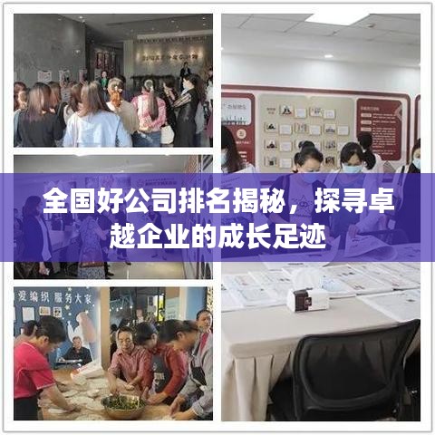 全国好公司排名揭秘，探寻卓越企业的成长足迹