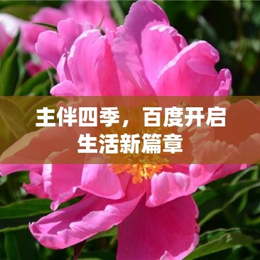 主伴四季，百度开启生活新篇章