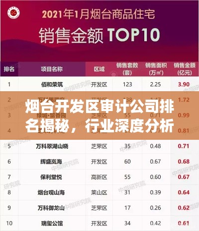 烟台开发区审计公司排名揭秘，行业深度分析与趋势解读