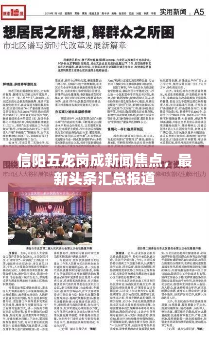 信阳五龙岗成新闻焦点，最新头条汇总报道