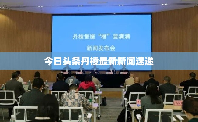 今日头条丹棱最新新闻速递