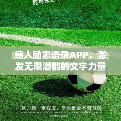 感人励志语录APP，激发无限潜能的文字力量