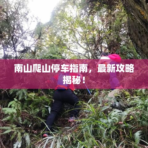南山爬山停车指南，最新攻略揭秘！