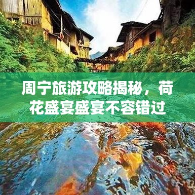 周宁旅游攻略揭秘，荷花盛宴盛宴不容错过！