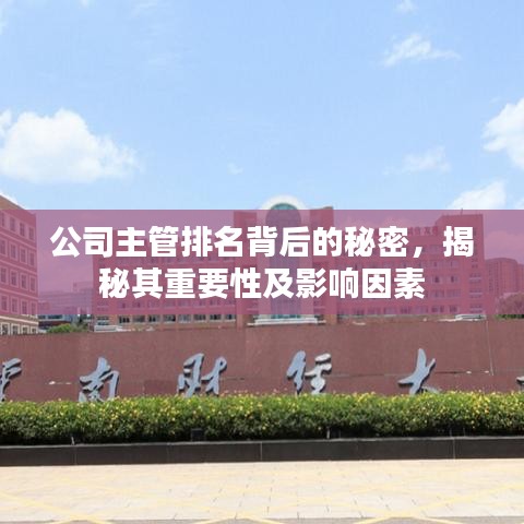 公司主管排名背后的秘密，揭秘其重要性及影响因素