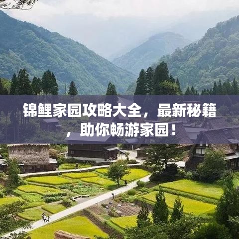 锦鲤家园攻略大全，最新秘籍，助你畅游家园！