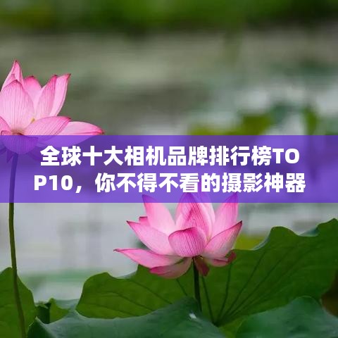 全球十大相机品牌排行榜TOP10，你不得不看的摄影神器！