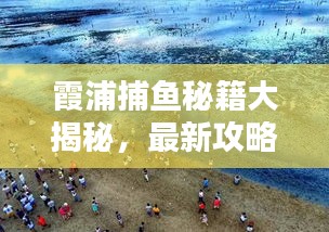 霞浦捕鱼秘籍大揭秘，最新攻略一网打尽当地捕鱼技巧！