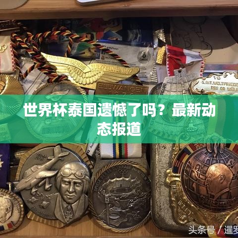 世界杯泰国遗憾了吗？最新动态报道
