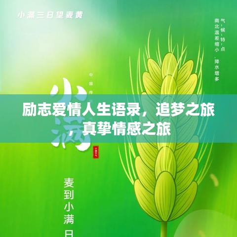 鸡飞狗跳 第2页