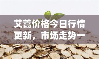 艾蒿价格今日行情更新，市场走势一网打尽！