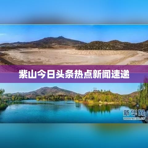 紫山今日头条热点新闻速递