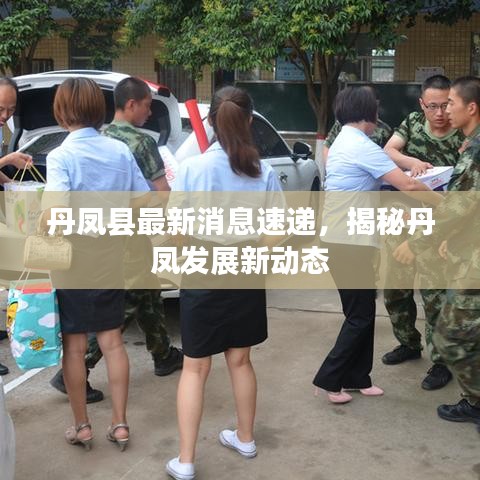 丹凤县最新消息速递，揭秘丹凤发展新动态