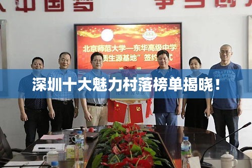 深圳十大魅力村落榜单揭晓！