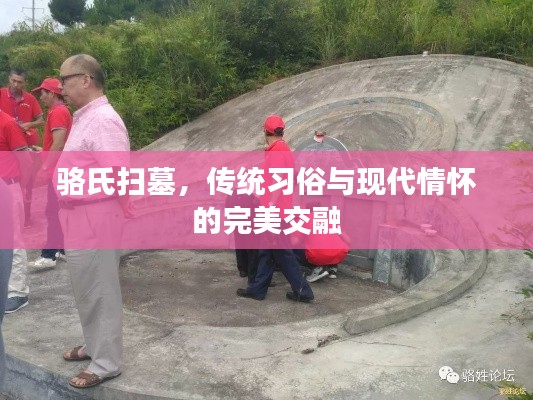 骆氏扫墓，传统习俗与现代情怀的完美交融
