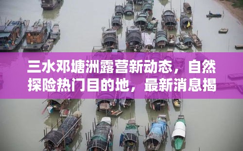三水邓塘洲露营新动态，自然探险热门目的地，最新消息揭秘
