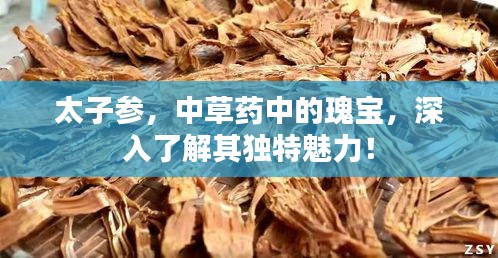 太子参，中草药中的瑰宝，深入了解其独特魅力！