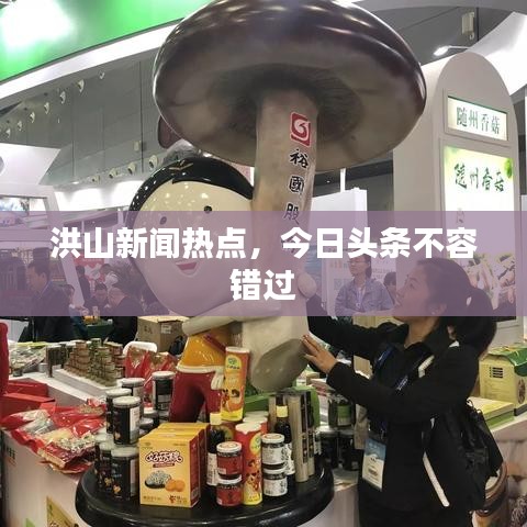 洪山新闻热点，今日头条不容错过
