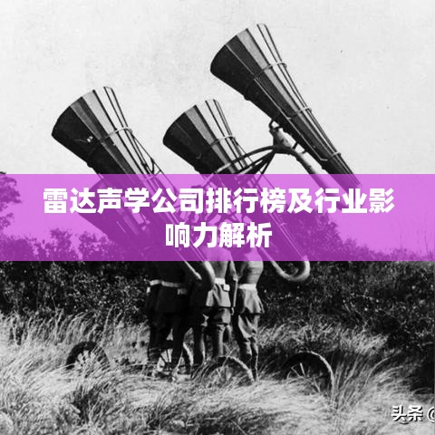 雷达声学公司排行榜及行业影响力解析
