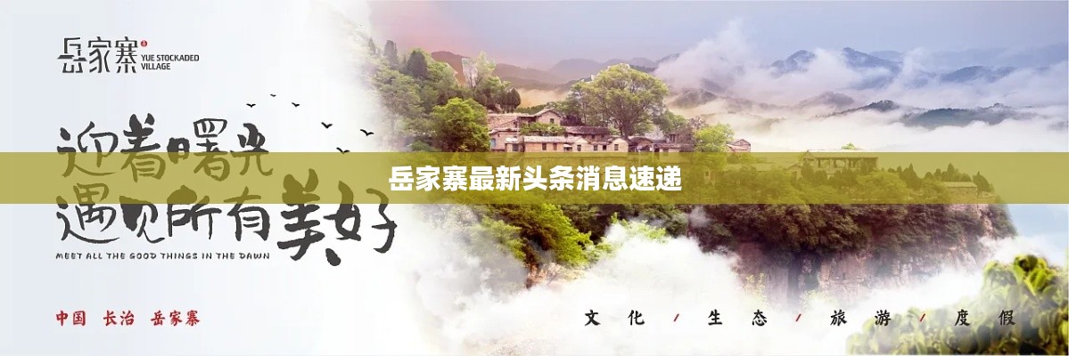 岳家寨最新头条消息速递