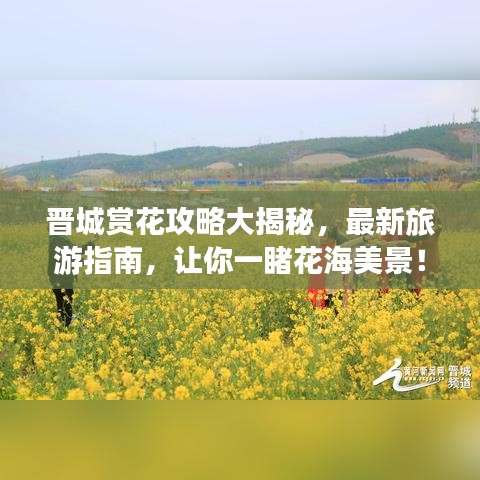 作舍道边 第2页