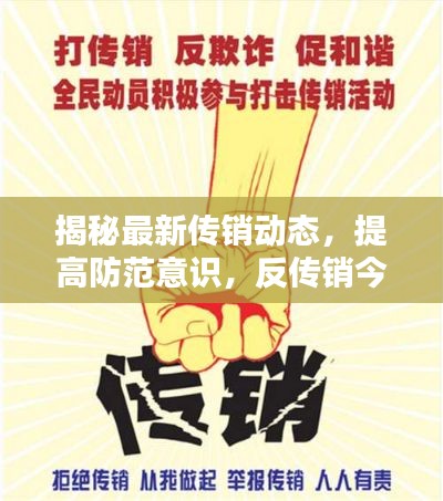 揭秘最新传销动态，提高防范意识，反传销今日消息更新速递
