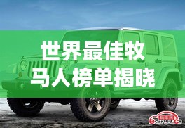 世界最佳牧马人榜单揭晓！这些马主人谁最出色？