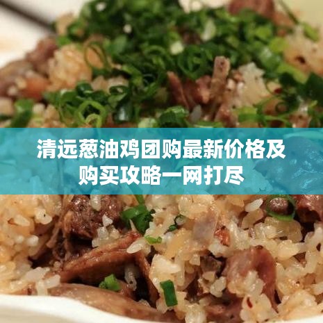 清远葱油鸡团购最新价格及购买攻略一网打尽