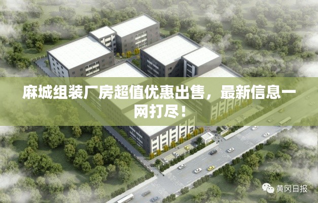 麻城组装厂房超值优惠出售，最新信息一网打尽！