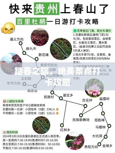 踏春之旅，绝美景点打卡攻略