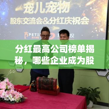 分红最高公司榜单揭秘，哪些企业成为股东心中的宠儿？